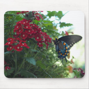 Mousepad Borboleta bonita