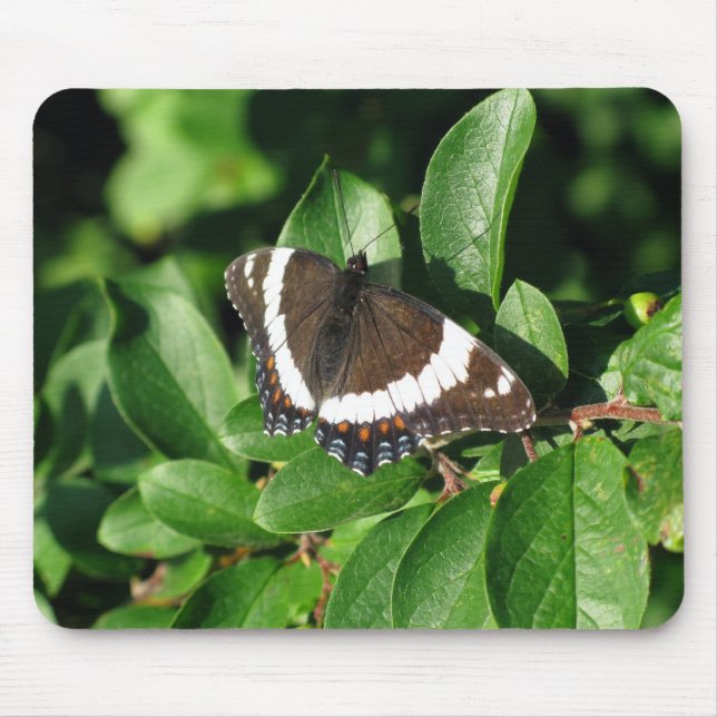 Mousepad Borboleta bonita (Frente)