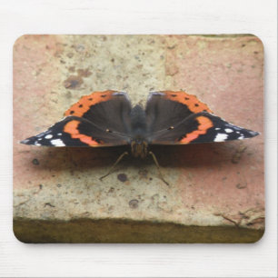 Mousepad Borboleta-Borboleta Vermelha Almirante