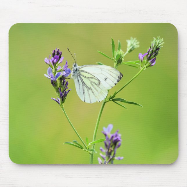 Mousepad Borboleta Branca com Veias Verdes (Frente)