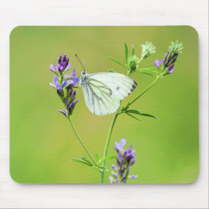 Mousepad Borboleta Branca Verde-de-Olho