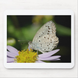 Mousepad Borboleta Colorida de Creme