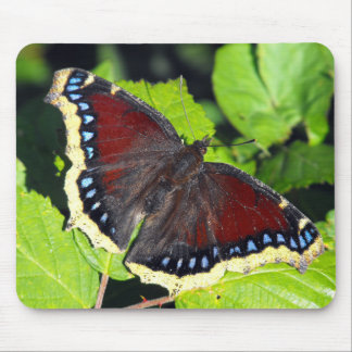 Mousepad Borboleta de casaco da beleza ou de lamentação de