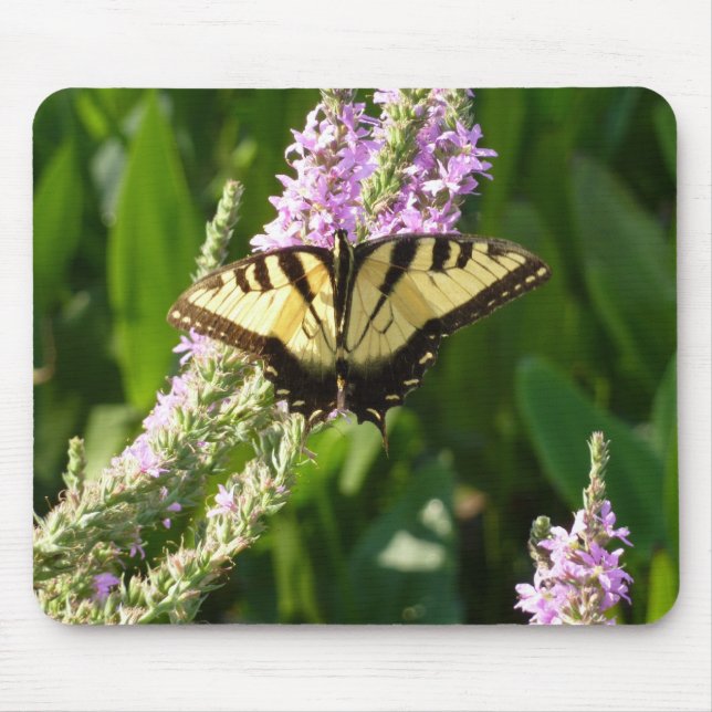 Mousepad Borboleta-de-cauda-andorinha em Flores Roxas (Frente)