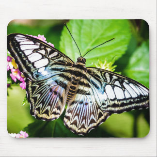 Mousepad Borboleta de Clipper Azul