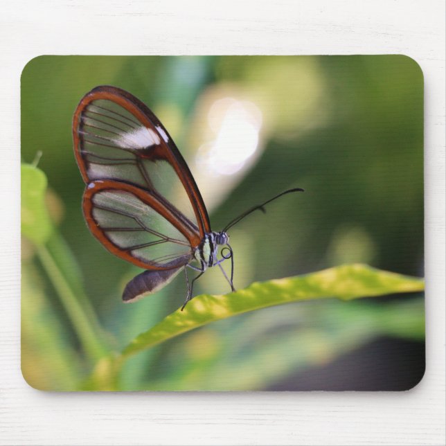 Mousepad Borboleta De Descoloração (Frente)