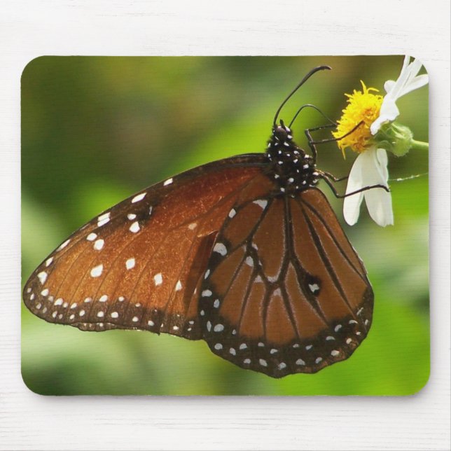 Mousepad Borboleta de monarca (Frente)