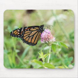 Mousepad Borboleta de monarca