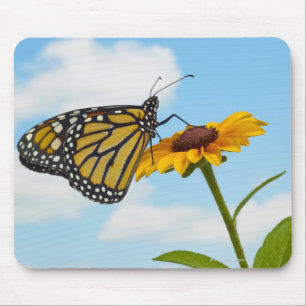 Mousepad Borboleta de monarca em uma Susan de olhos pretos