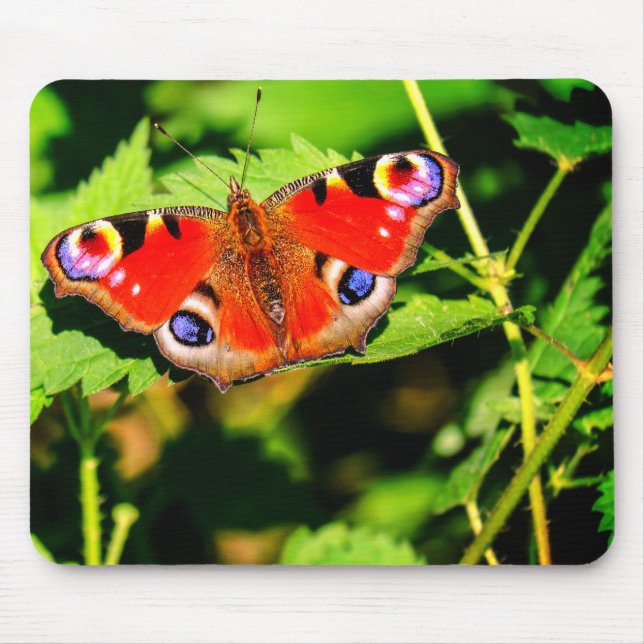 Mousepad Borboleta de pavão, borboleta, folhas (Frente)
