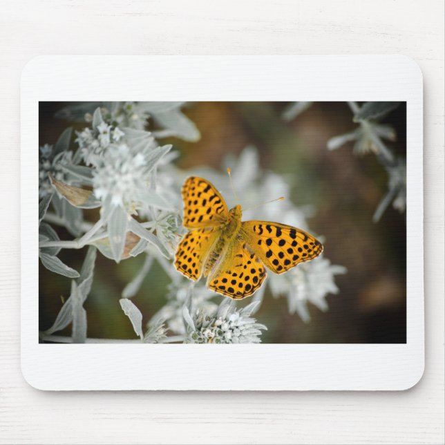 Mousepad Borboleta-de-vidro laranja e preto (Frente)