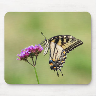 Mousepad Borboleta do Swallowtail do Tigre Oriental