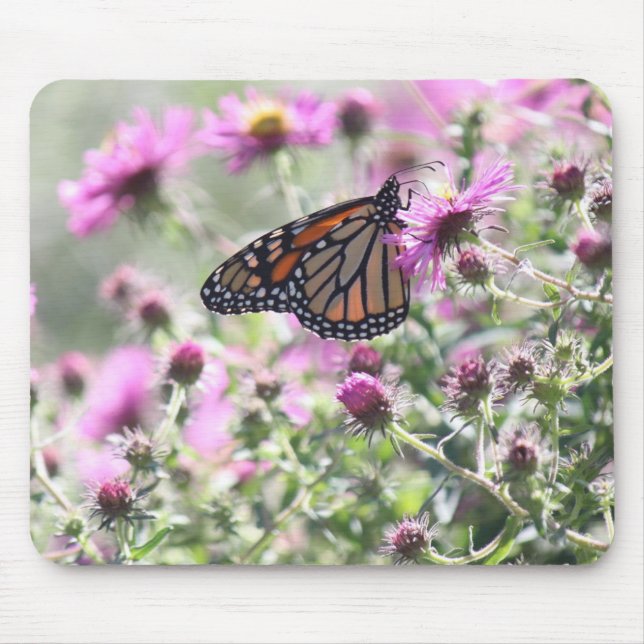 Mousepad Borboleta e Flores de Prados (Frente)