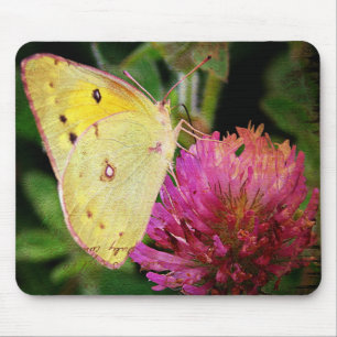 Mousepad Borboleta e Vestuário