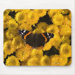 Mousepad Borboleta em ásteres amarelos
