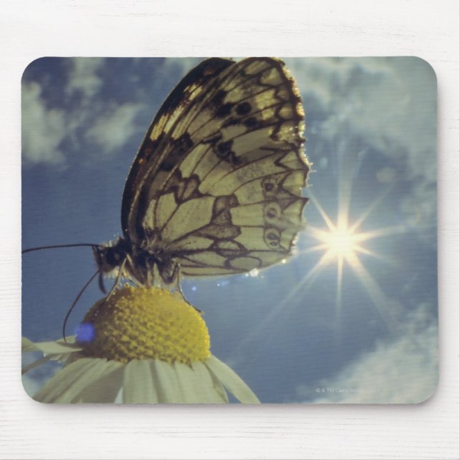Mousepad Borboleta em flor camomila com sol, (Frente)