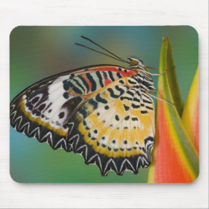 Mousepad Borboleta em Flor Tropical