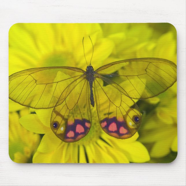 Mousepad Borboleta em Flores Amarelas (Frente)