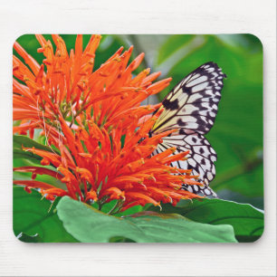 Mousepad borboleta em Honeysuckle mexicano