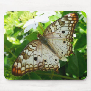 Mousepad Borboleta em Jasmine Fotografia sobre Natureza Tro