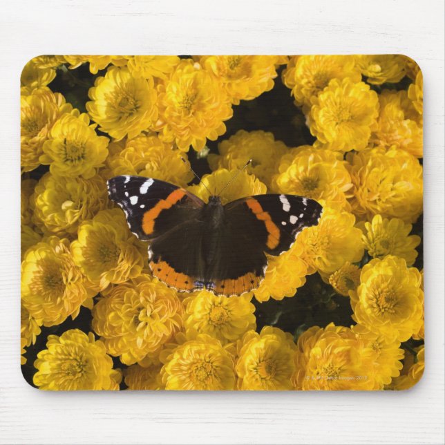 Mousepad Borboleta em madeiras amarelas (Frente)