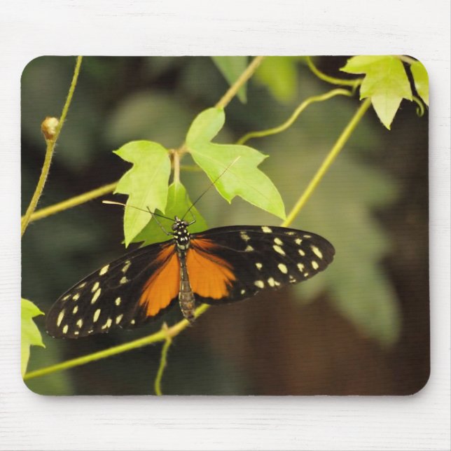 Mousepad Borboleta em um jardim (Frente)