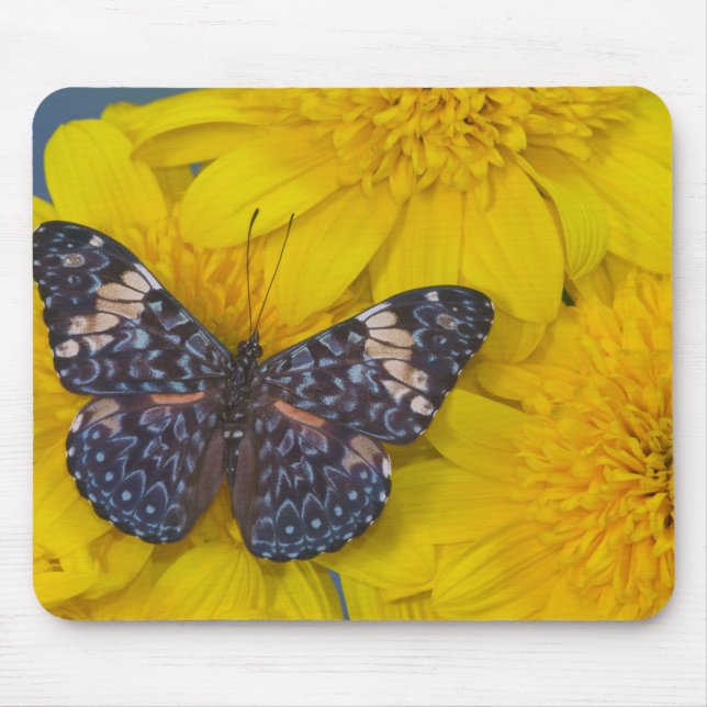 Mousepad Borboleta em uma Flor Amarela (Frente)