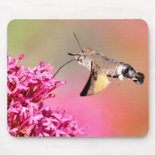 Mousepad Borboleta Hawk-moth Hummingbird em voo Metal