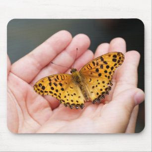 Mousepad borboleta, inseto, mão