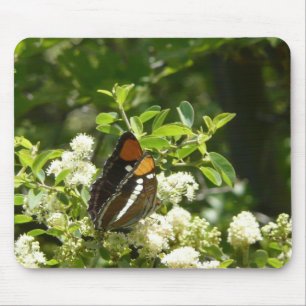 Mousepad Borboleta Irmã da Califórnia em Yosemite