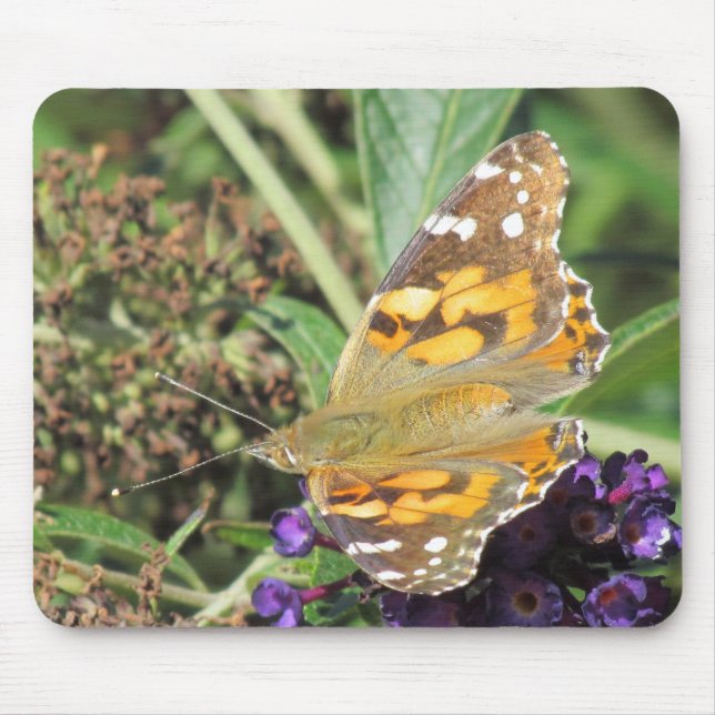 Mousepad - Borboleta Laranja na Flor Roxo (Frente)