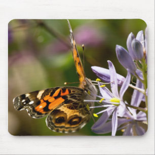 Mousepad Borboleta Laranja no Roupa e presentes de Hyacinth