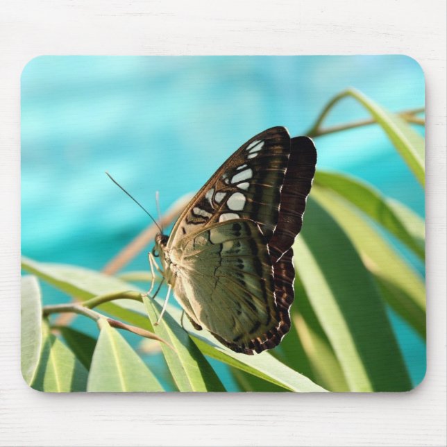 Mousepad Borboleta Marrom Asas Fechadas (Frente)