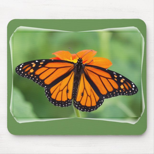 Mousepad Borboleta Monarca (Frente)