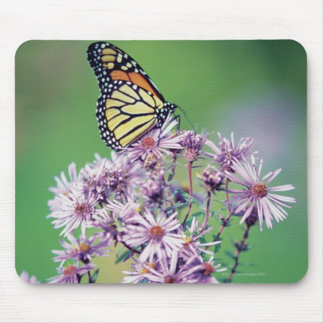 Mousepad Borboleta Monarca (Frente)