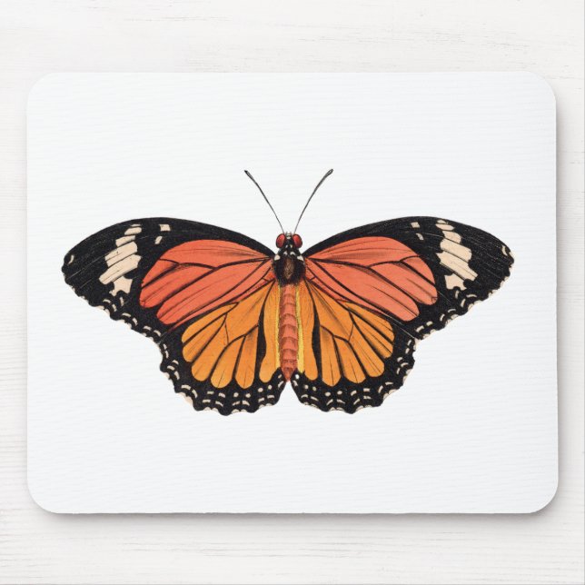Mousepad Borboleta Monarca (Frente)