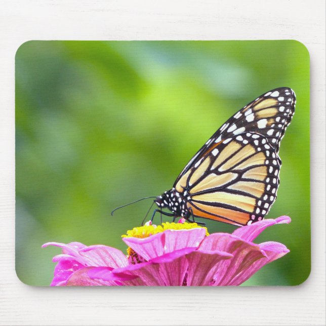 Mousepad Borboleta Monarca (Frente)