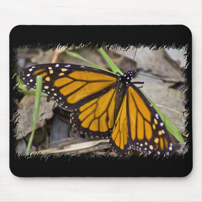 Mousepad Borboleta Monarca (Frente)