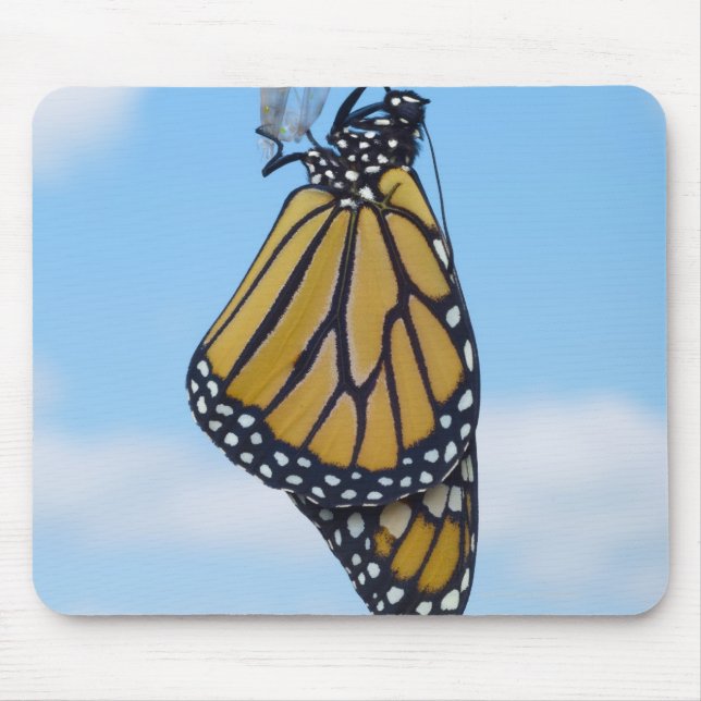 Mousepad Borboleta Monarca, com crisális (Frente)