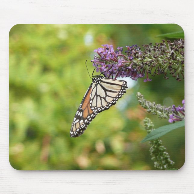 Mousepad Borboleta Monarca em Arbusto de Borboleta Roxa (Frente)