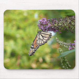 Mousepad Borboleta Monarca em Borboleta Roxa Bush