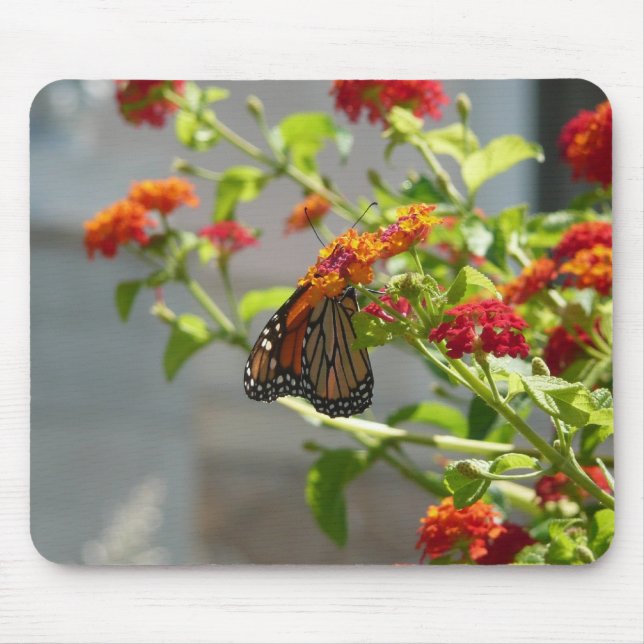Mousepad Borboleta Monarca em Borboleta Vermelha Bush (Frente)