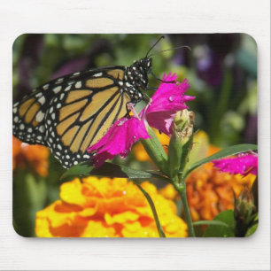 Mousepad Borboleta monarca em pata-rosa-marigold