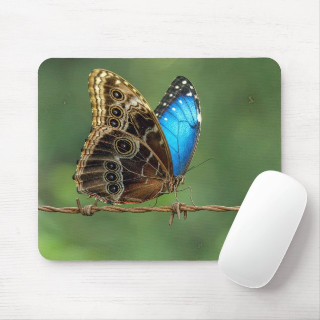 Mousepad Borboleta Morfo Comum em Arame Farpado (Com mouse)