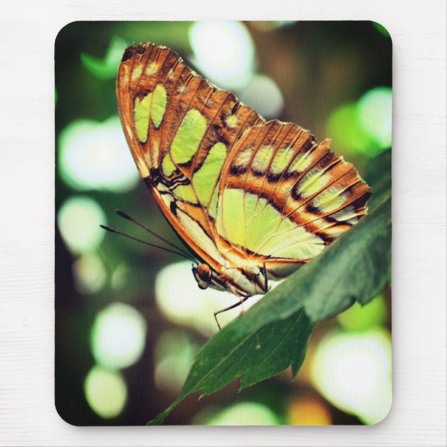 Mousepad Borboleta Observando Natureza (Frente)