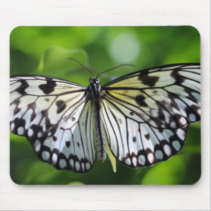 Mousepad Borboleta Paperkite
