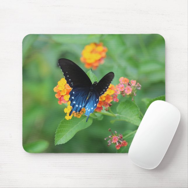 Mousepad Borboleta-pípebra/borboleta-pântana azul sobre uma (Com mouse)