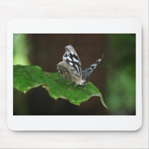 Mousepad Borboleta Preta e Branca