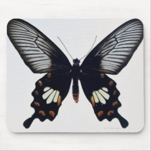 Mousepad Borboleta preta e marrom