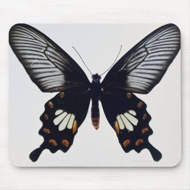 Mousepad Borboleta preta e marrom (Frente)